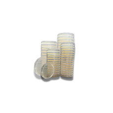 Sabouraud Dextrose Agar Plate